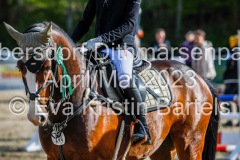 evakristin_230501_Dithmarsenpark_April2023_Prfg15_6346